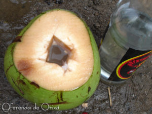 Leia mais sobre o artigo Pinga no Coco para Baianos